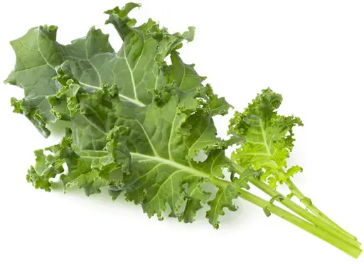 Click & Grow Smart Garden Refill Green Kale 3pcs