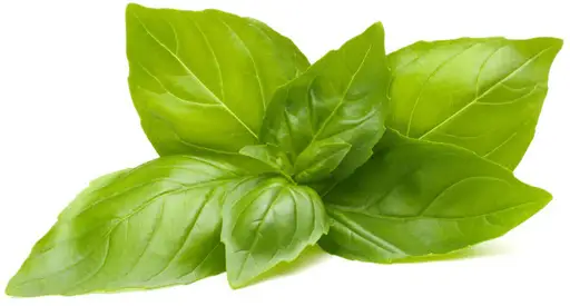 Click & Grow Smart Garden Refill Lemon Basil 3pcs
