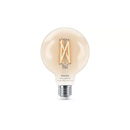 Philips Smart WFB 60W G95 927-65 CL 1PF/6