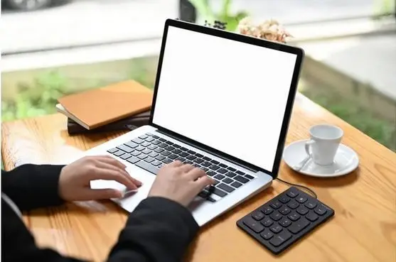 Wired Numeric Keypad – 3