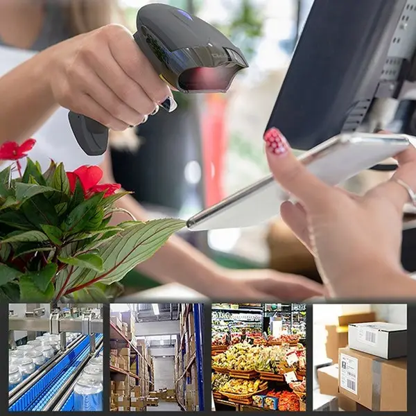 QOLTEC 50856 Wireless 1D/2D barcode scanner / 2.4GHz – 5