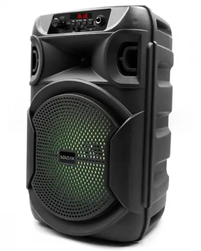 SQUEAK KARAOKĖS GARSIAKALBIS PULSETOWER BT 5.3 + EDR SQ1006
