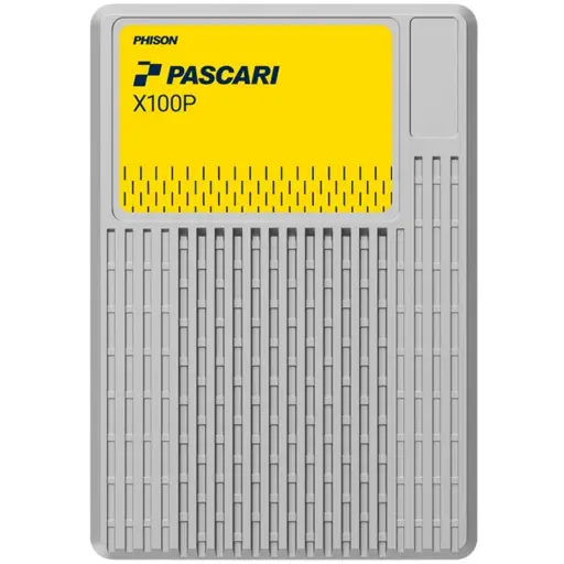 Pascari X100P U.2/U3 3.84TB PCI-Express 4.0 Single Port SSD Enterprise