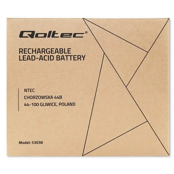QOLTEC 53038 Battery AGM 12V 100Ah max.30A – 10