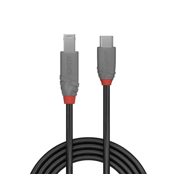 USB Kabelis - LINDY Anthra Line USB 3.2 Type C į B Laidas, M/M, 5Gbp, 0.5 m, Juodas – 3