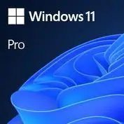 MS 1x Windows 11 Pro GGK 64-Bit DVD OEM English International (EN) – 2