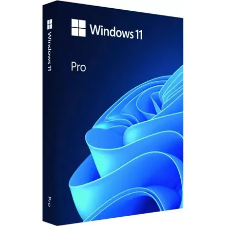 Microsoft Windows 11 Pro 64-bit (tarptautinė versija) pakuotė su USB raktu – 2