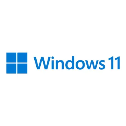 Microsoft Win Pro N FPP 11 Online Product Key License 1 License Downloadable NR – 2