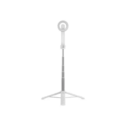 Fixed Selfie stick with tripod