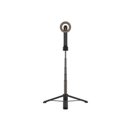 Fixed Selfie stick with tripod