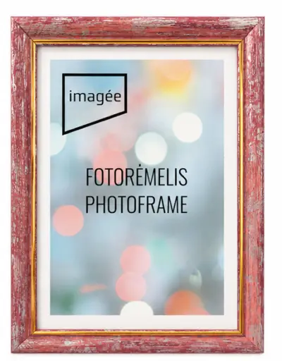 Rėmelis 21x30 plast VF3745 GARDEN violetinis su auksu