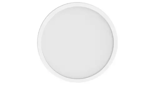 Smart Ceiling Light D20