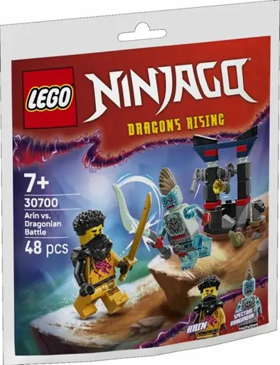Ninjago Blocks 30700 Arina`s Battle with Dragon
