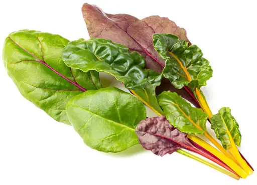 Click & Grow Smart Garden Refill Rainbow Chard 3pcs