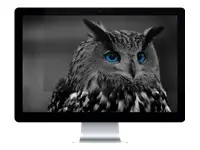 NATEC NFP-1478 Privacy Filter RODO OWL 24inch 16:9