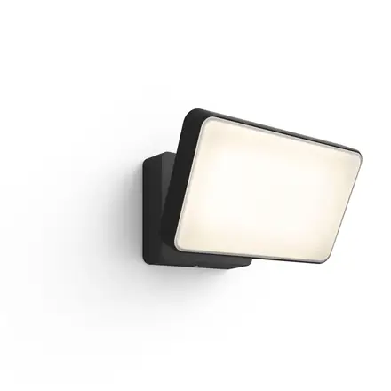 Philips Hue Welcome Outdoor Floodlight