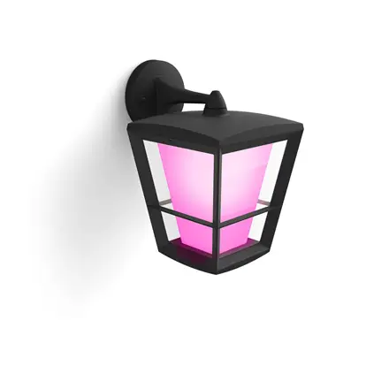 Philips Hue WCA Econic Outdoor Wall Lantern