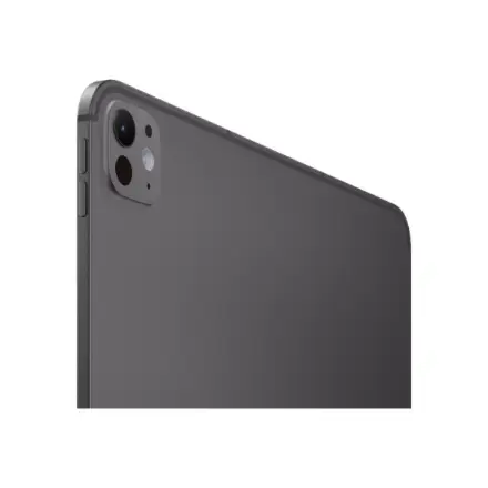 iPad Pro 13" M5 Wi-Fi + Cellular 1TB with standard glass - Space Black – 10