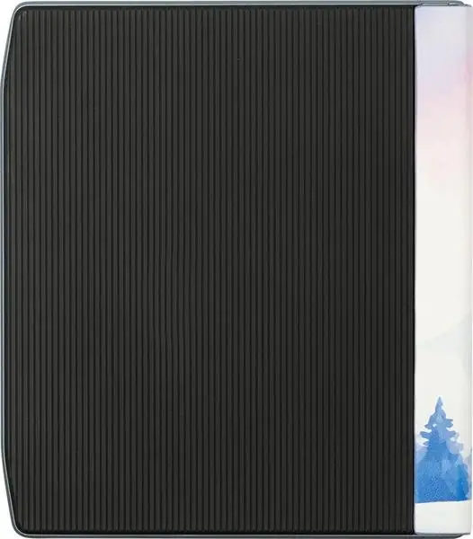 READER ACC CASE 7" WINTERTIME/FL-700-WTP-WW POCKET BOOK – 2