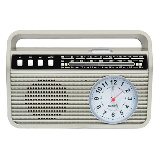 Bluetooth speaker with radio Setty MD-500BT
