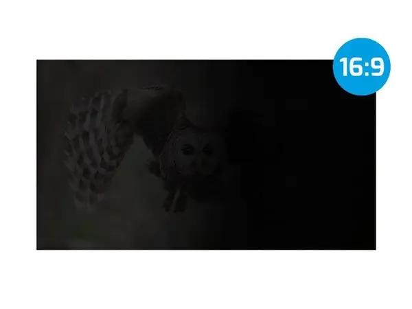 NATEC Privacy Filter Owl 16inch 16:10 – 3
