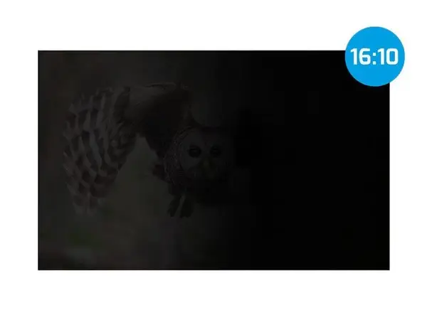 NATEC Privacy Filter Owl 16inch 16:10 – 10