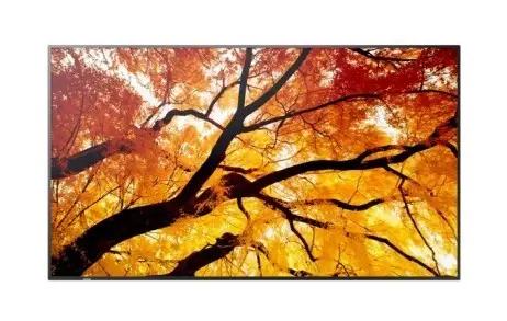 Display MultiSync M322 32-inch 24/7