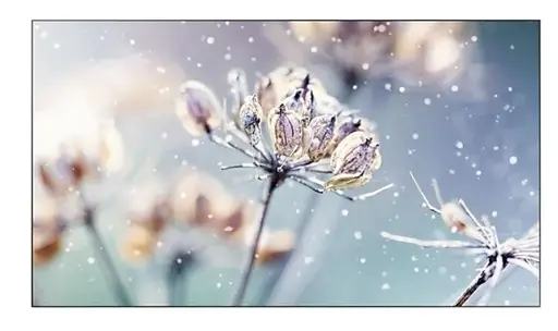 Samsung VM46B-U 46 inch Monitor